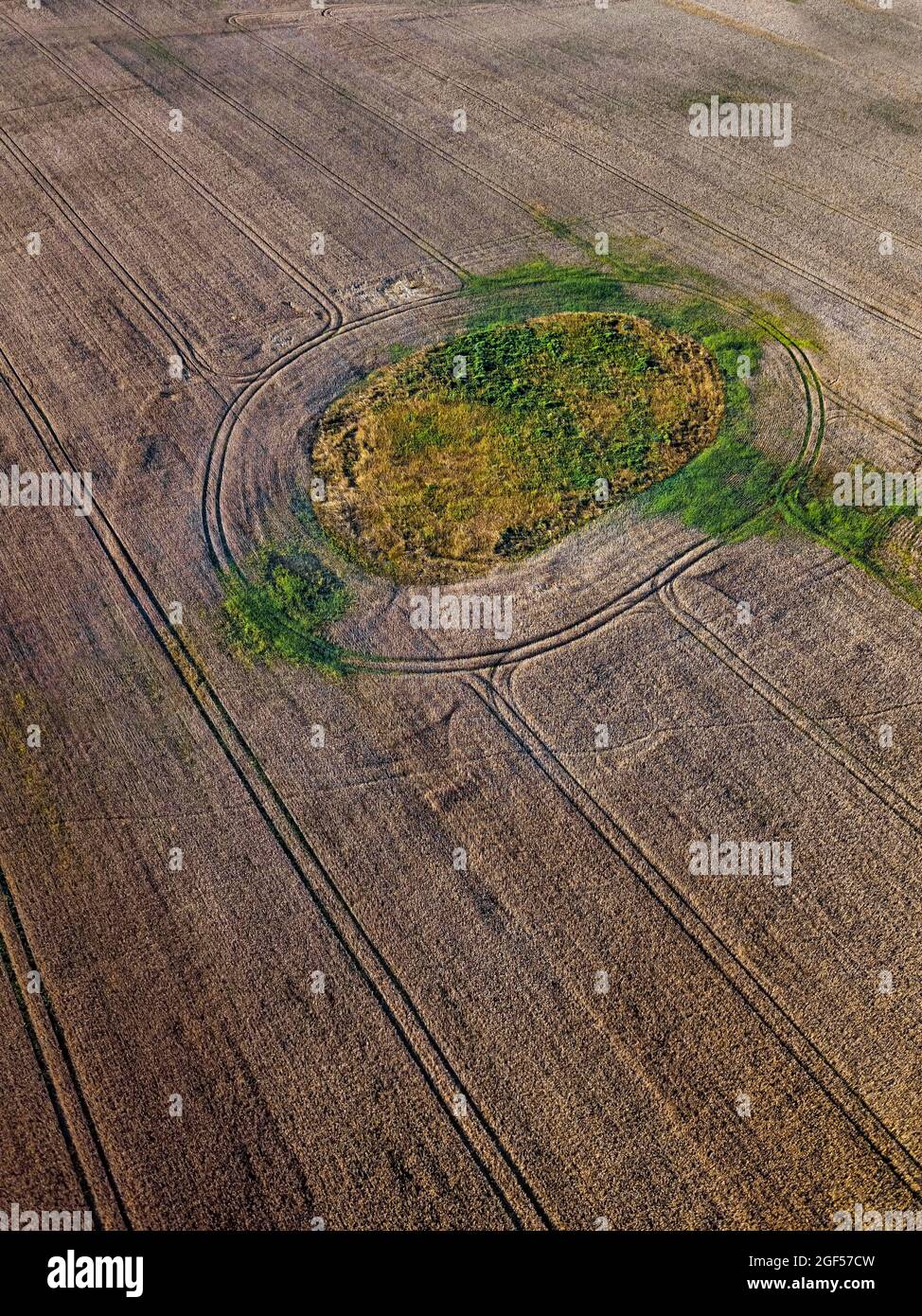 Luftaufnahme eines kleinen Fleckens von Grün links auf riesigen ländlichen Feld Stockfoto