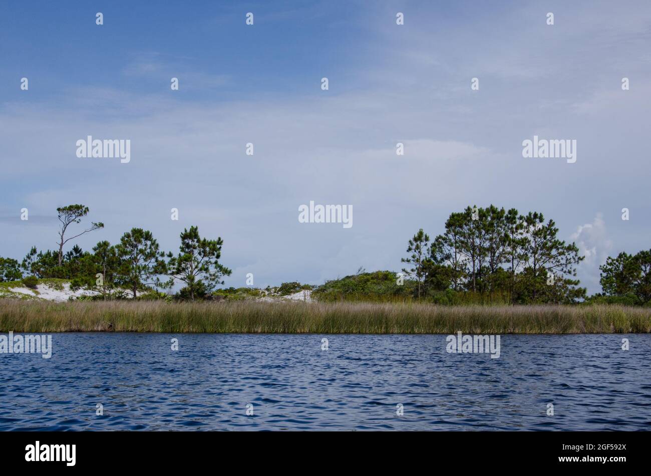 Ein Blick vom Western Lake, einem Küstendünensee im Grayton Beach State Park, Florida, USA Stockfoto