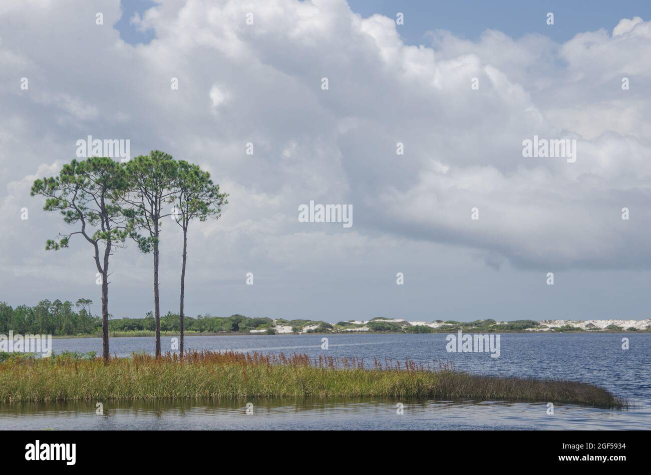 Ein Blick auf den Western Lake, einen seltenen Küstendünensee im Grayton Beach State Park, Florida, USA Stockfoto