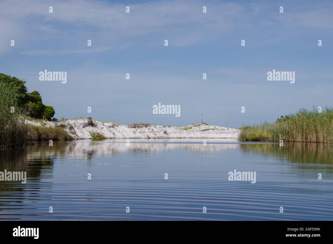 Ein Ausfall von Western Lake, einem Dünensee an der Küste im Grayton Beach State Park, Florida, USA. Stockfoto
