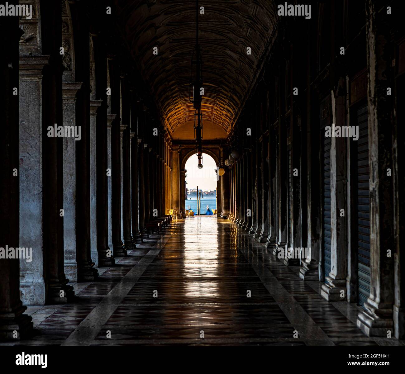 Blick von innen auf die Säulen der Bibliothek Marciana, neben der Piazzetta San Marco in Venedig Stockfoto