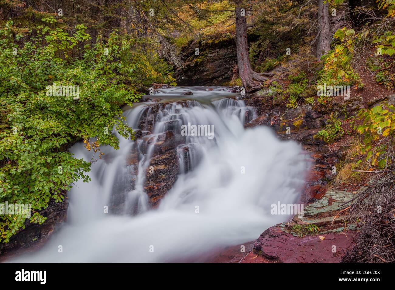 Kleiner Wasserfall am Baring Creek, Glacier National Park, Montana Stockfoto