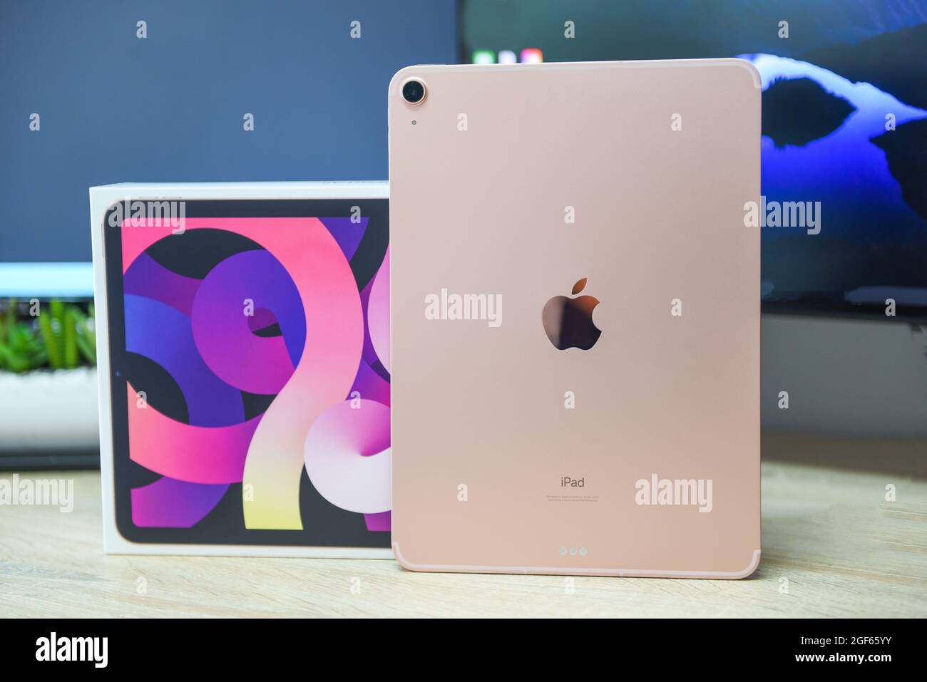 Bangkok, Thailand - 21. August 2021: Neues Apple iPad Roségold Farbe,  Kamera und Rückansicht Logo Apple Launch Tablet iPad Air 2020-2021 (4.  Gen.) mit Stockfotografie - Alamy