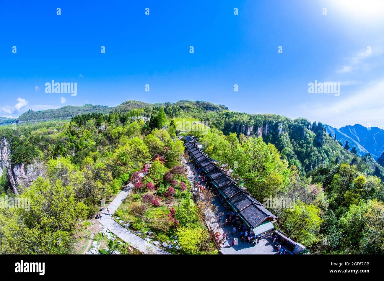 Zhangjiajie National Forest Park in der Provinz Hunan China Stockfoto