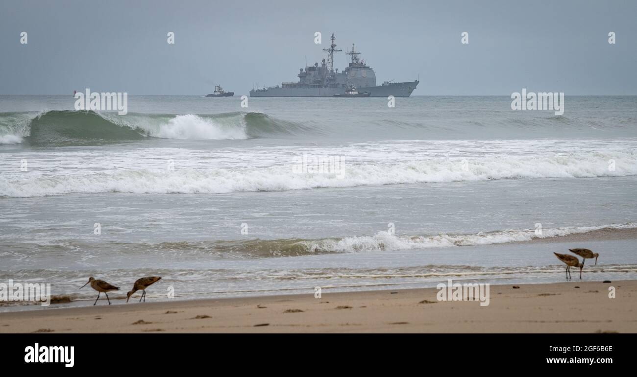 Vögel Streifen am Ufer entlang des Port Hueneme Beach Parks auf der Suche nach Nahrung, als die USS Mobile Bay (DDG 53) am 7. Juli bei NSWC PHD eintrifft. Die USS Mobile Bay wurde sowohl zur Unterstützung der Operation Desert Shield als auch der Operation Desert Storm sowie der Invasion des Irak im Jahr 2003 eingesetzt. (USA Navy Foto von Eric Parsons/veröffentlicht) Stockfoto
