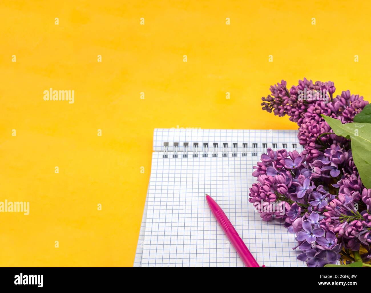 Notebook-Flieder auf weißem Hintergrund. Spiralnotizbuch und Stift. Notizblock mit Stift und Blumen. Stockfoto