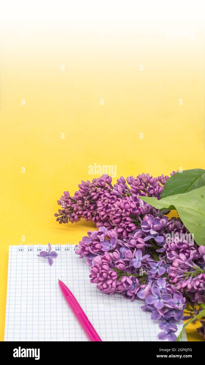 Notizblock mit Stift und Blumen. Spiralnotizbuch und Stift. Notebook-Flieder auf gelbem Hintergrund. Stockfoto