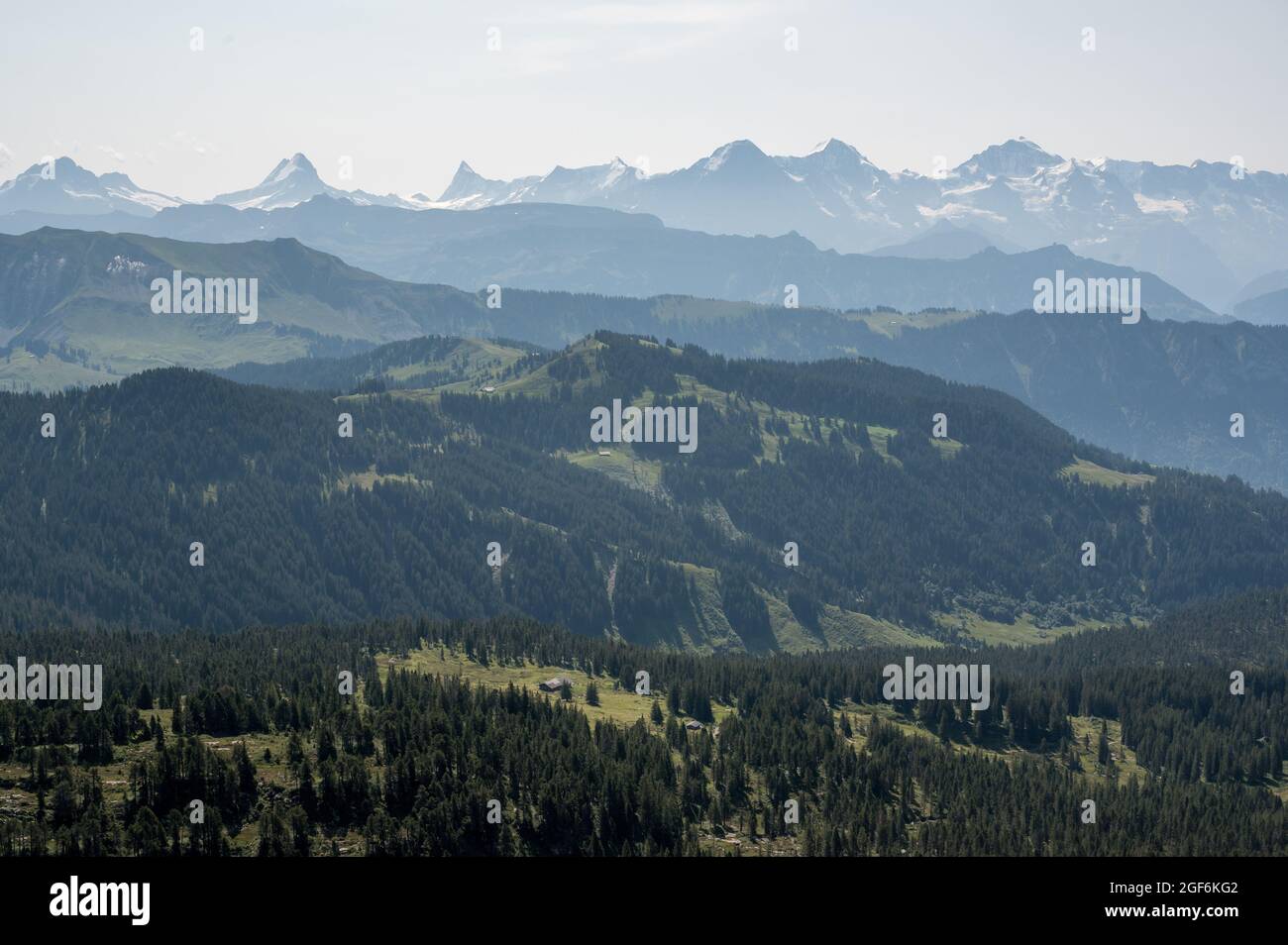 Blick vom Trogenhorn im Emmental auf die Berner Alpen Stockfoto