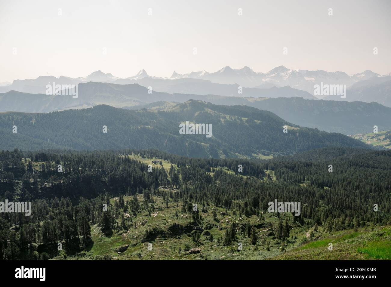 Blick vom Trogenhorn im Emmental auf die Berner Alpen Stockfoto