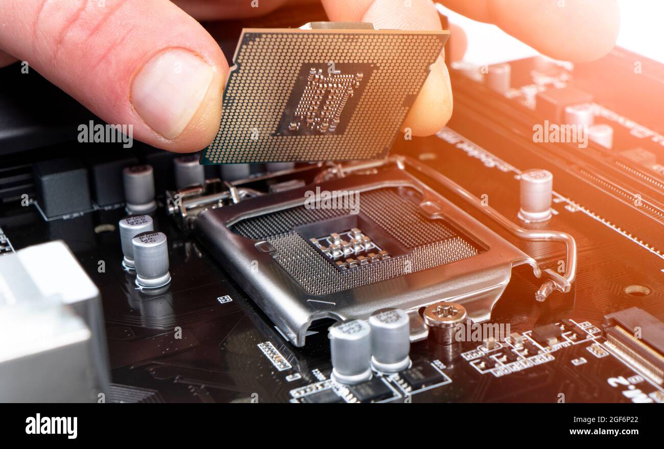 Elektronikingenieur, der Mikroprozessor installiert. CPU-Hardware des Wartungscomputers. Hand hält einen Computerprozessorchip. Austausch des zentralen Prozesss Stockfoto