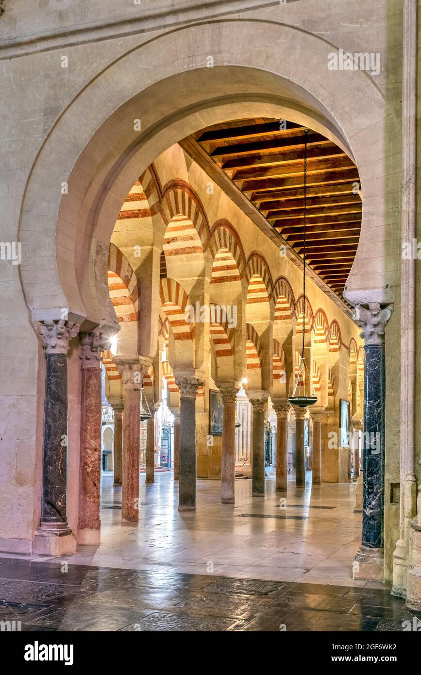 Säulen und zweistufige Bögen im Originalteil des Moscheegebäudes in der Kathedrale, Cordoba, Andalusien, Spanien Stockfoto