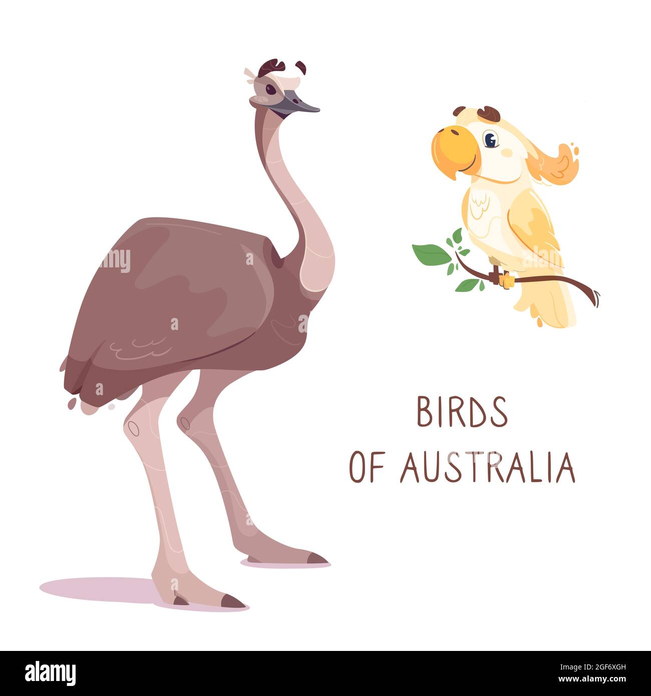 Strauß-emu und Kakadu, isoliert auf weißem Hintergrund. Vektor-Illustration von niedlichen australischen Vögeln im Cartoon-Stil. Zeichnung, zum Bedrucken von Kleidung, für Kinderbücher, Karten, Plakate. Stock Vektor
