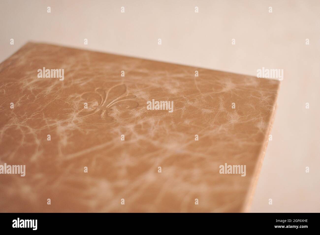 Zusammensetzung von Fotobücken in natürlichem braunem Leder. Fragment einer Fotobuch-Bindung. Stockfoto