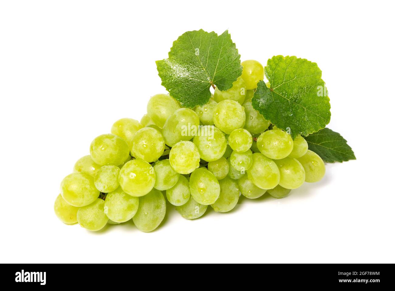 Traubenhaufen mit grünen Blättern isoliert auf weißem Hintergrund Stockfoto