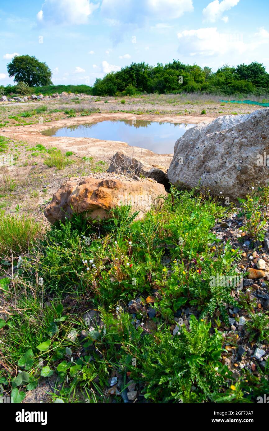 Amphibien-Laichgewässer im Schutzgebiet, EU Life Project Stepping Stone Biotopes Amphibian Network, Städte Region Aachen, Deutschland Stockfoto