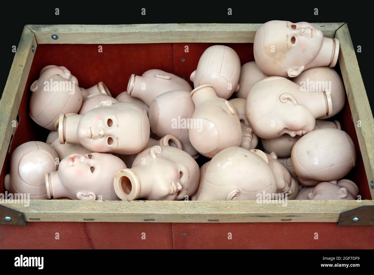 Puppenköpfe ohne Augen in einer Kiste für eine Puppenklinik, Deutschland Stockfoto