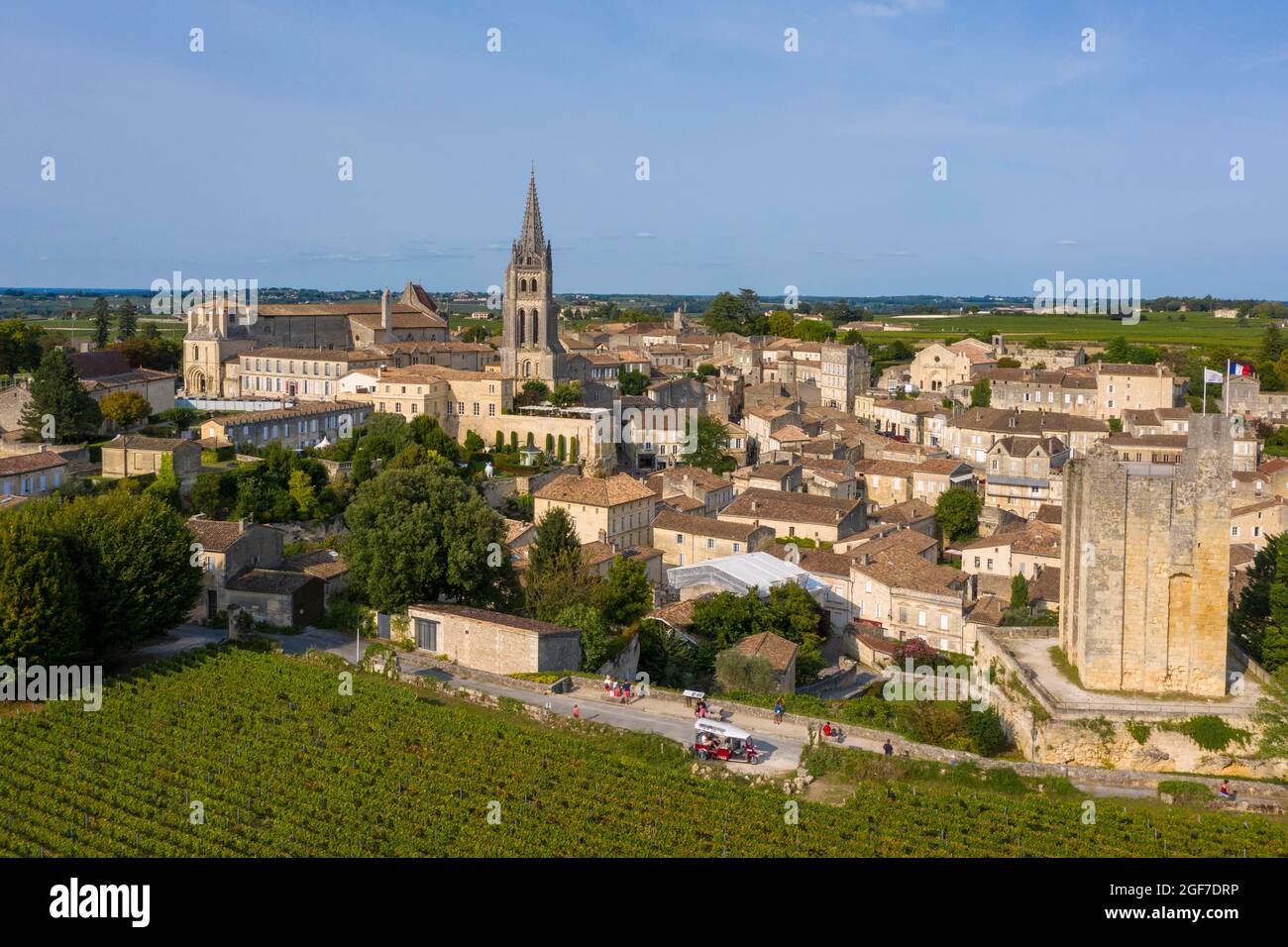 Blick auf die Stadt mit Felskirche, Saint-Emilion, Departement Gironde, Nouvelle-Aquitaine, Frankreich Stockfoto