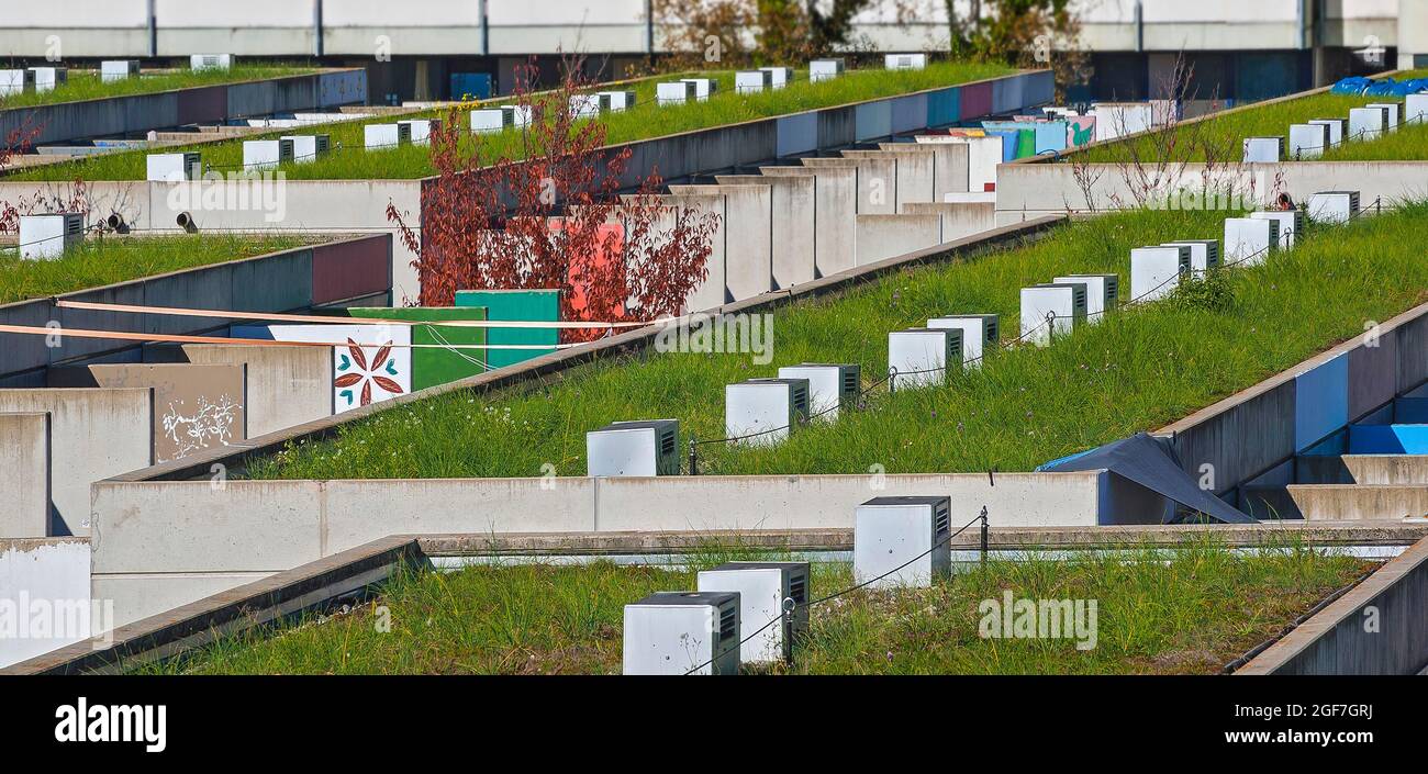 Grüne Dächer im Olympischen Dorf, München, Oberbayern, Bayern, Deutschland Stockfoto