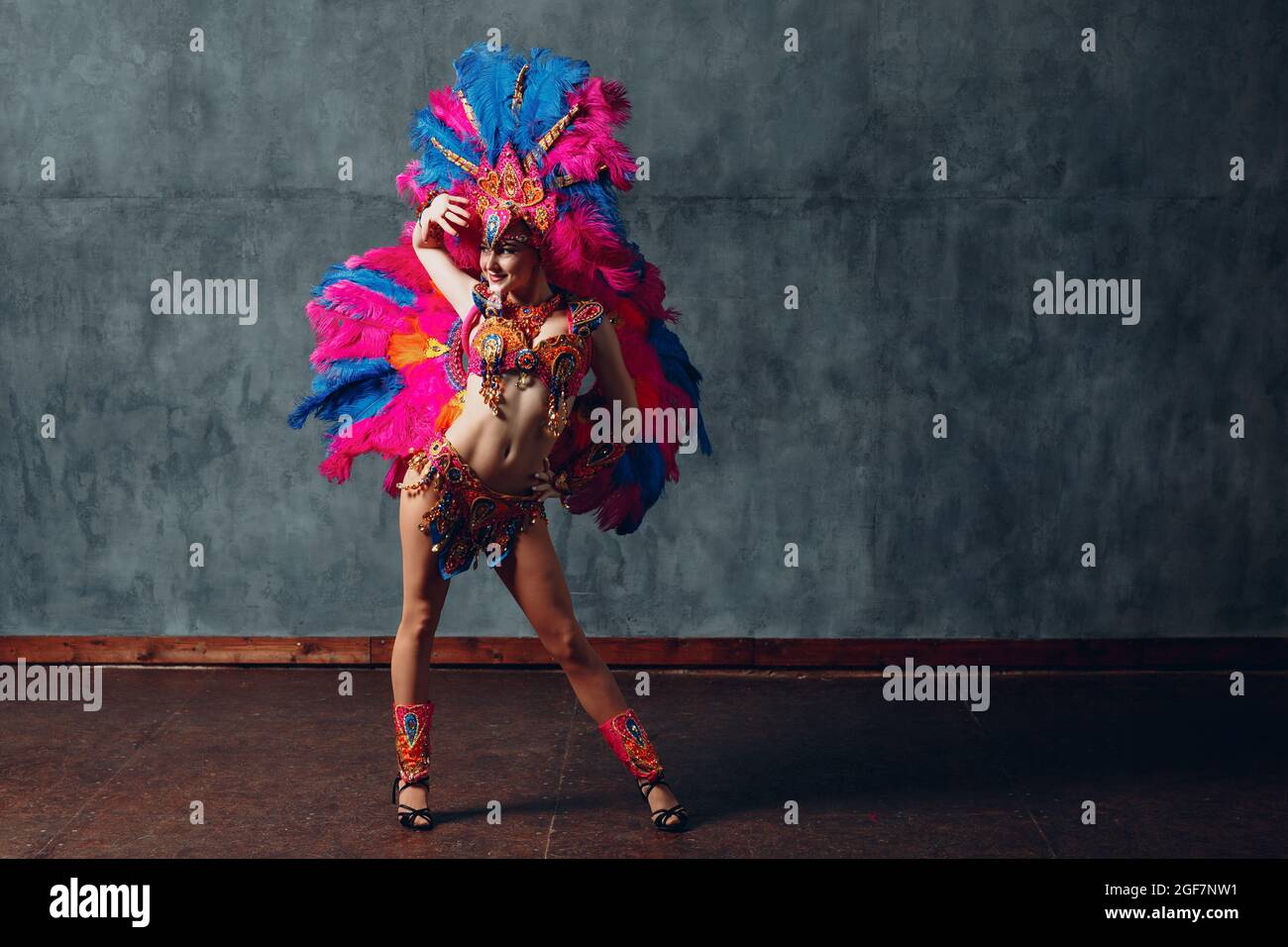 Frau im brasilianischen Samba Karnevalskostüm mit bunten Federn Gefieder. Stockfoto
