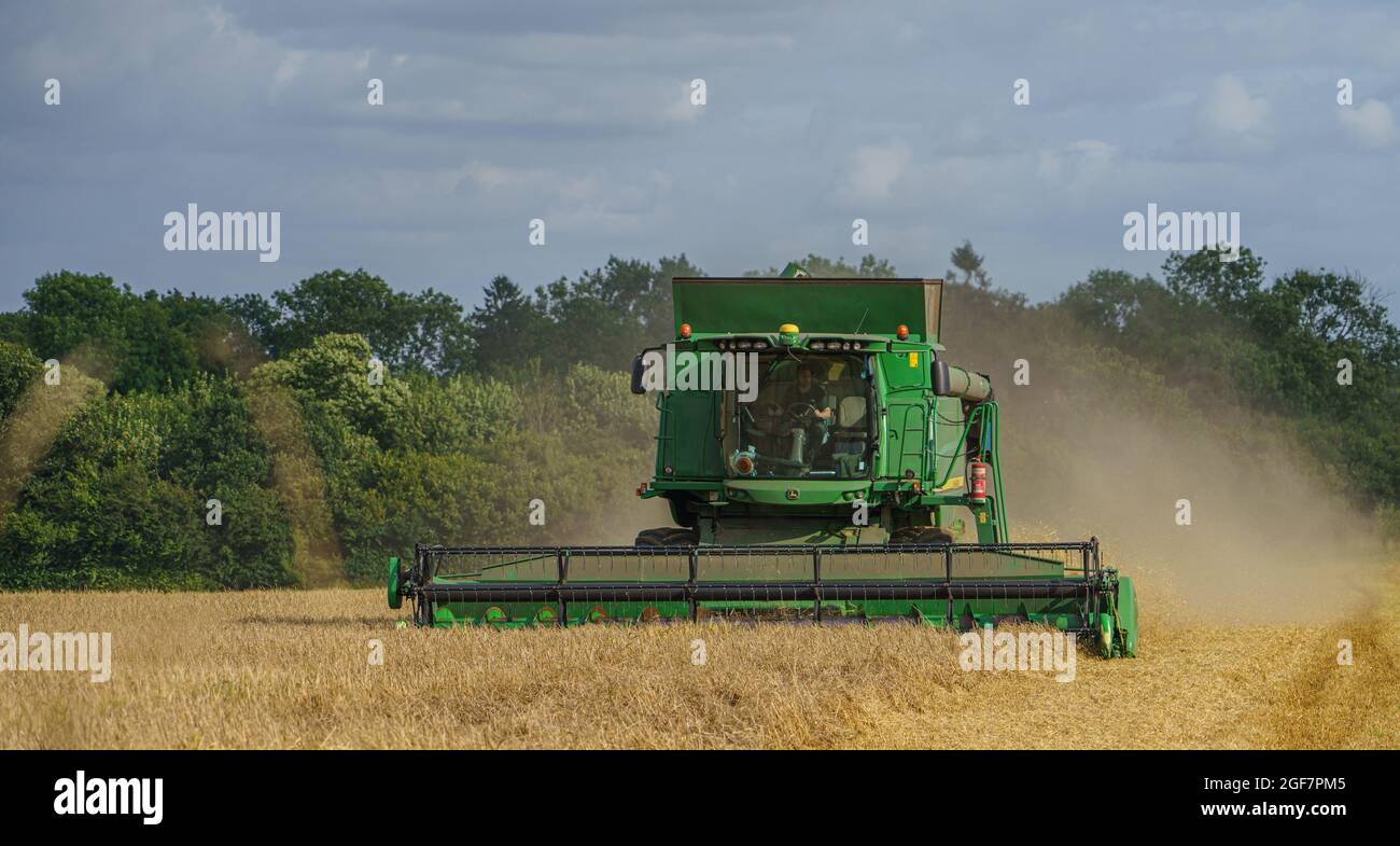 Ein John Deere Hillmaster T670 Mähdrescher in Aktion sammeln die Weizenernte Stockfoto
