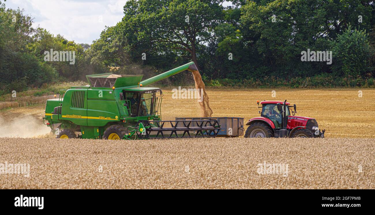 John Deere CTS 9870i Mähdrescher in Aktion Sammeln der Weizenernte mit einem Red Case 130 Traktor ziehen die Ernte Anhänger Stockfoto
