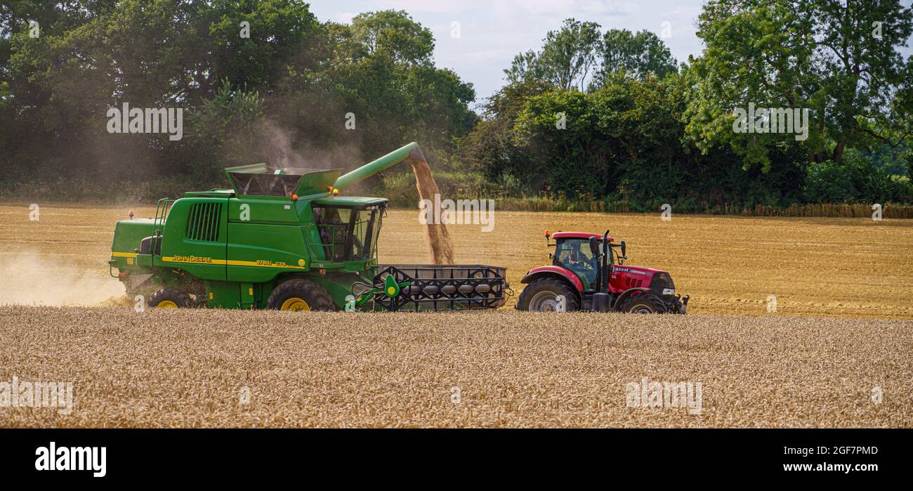 John Deere CTS 9870i Mähdrescher in Aktion Sammeln der Weizenernte mit einem Red Case 130 Traktor ziehen die Ernte Anhänger Stockfoto