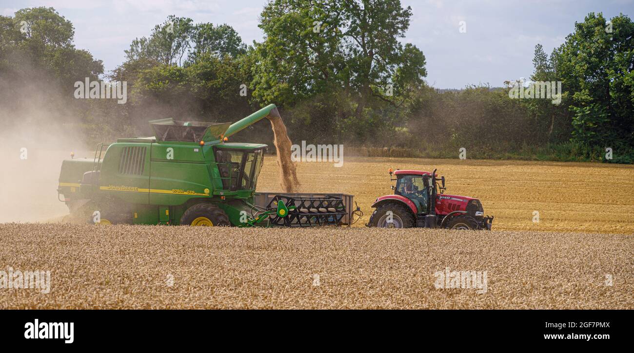 John Deere CTS 9870i Mähdrescher in Aktion Sammeln der Weizenernte mit einem Red Case 130 Traktor ziehen die Ernte Anhänger Stockfoto