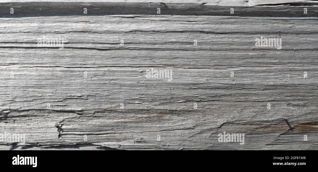 Ein Splitter eines alten groben grauen Holzes mit Kerben und Rissen. Hintergrund, Textur. Stockfoto