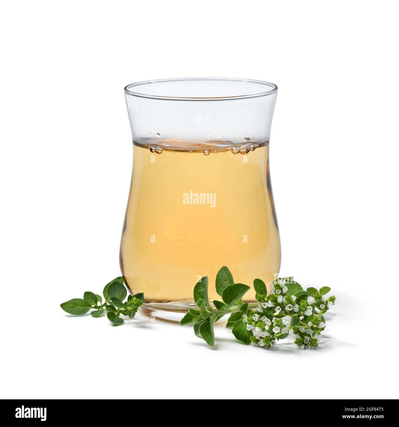 Glas mit gesundem Oranganotee mit einem frischen Zweig blühenden Oranganos vorne isoliert auf weißem Hintergrund Stockfoto