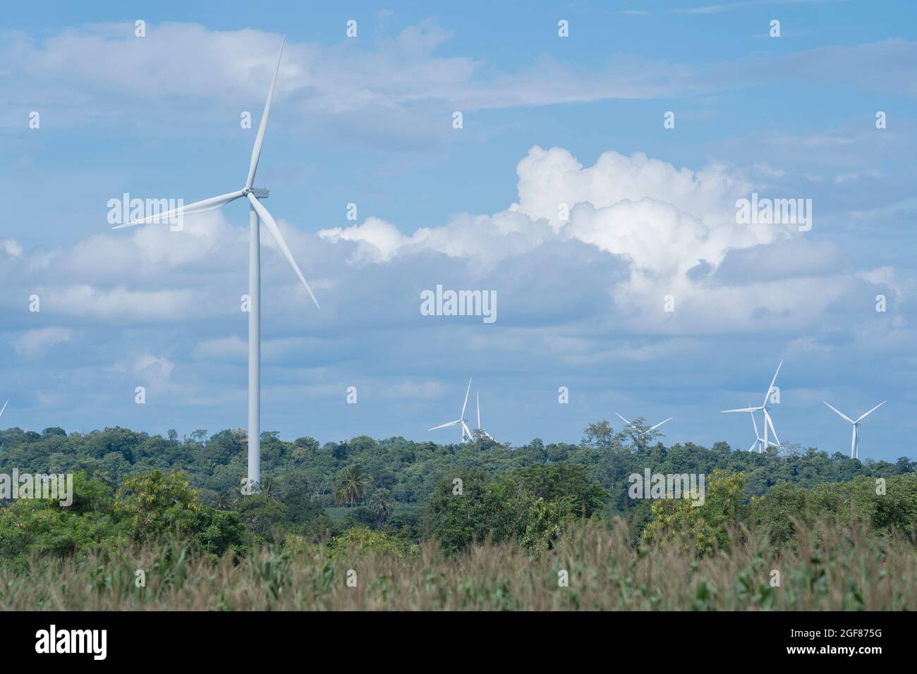 Windturbinen auf dem Land. Stockfoto