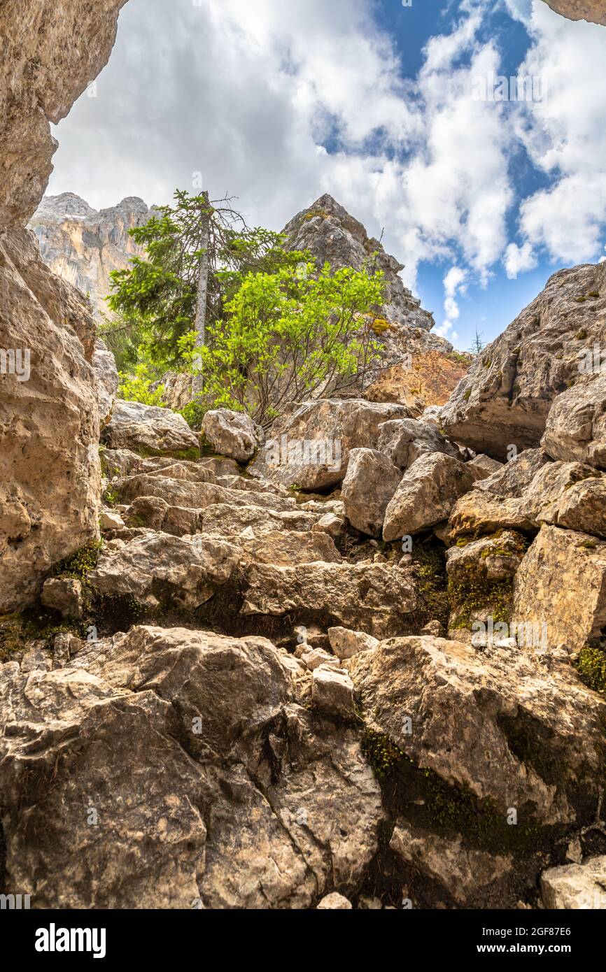 Felsenlabyrinth unter den Latemarbergen, Dolomiten, Südtirol Stockfoto