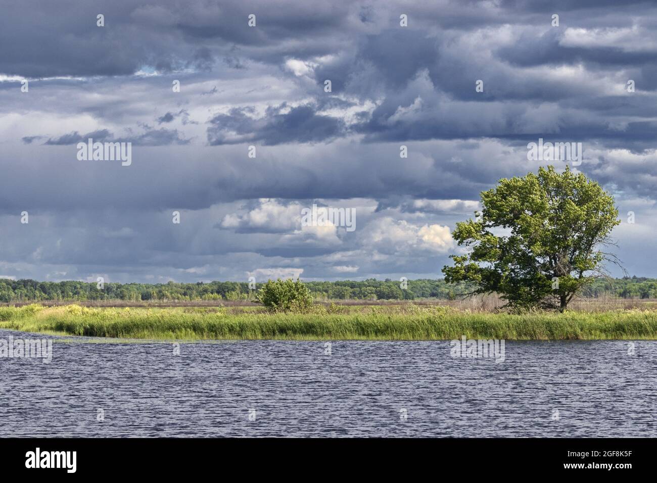 Crex Meadows State Wildlife Area zeigt die ländliche Ruhe von Wasser und Himmel in Wisconsin Stockfoto