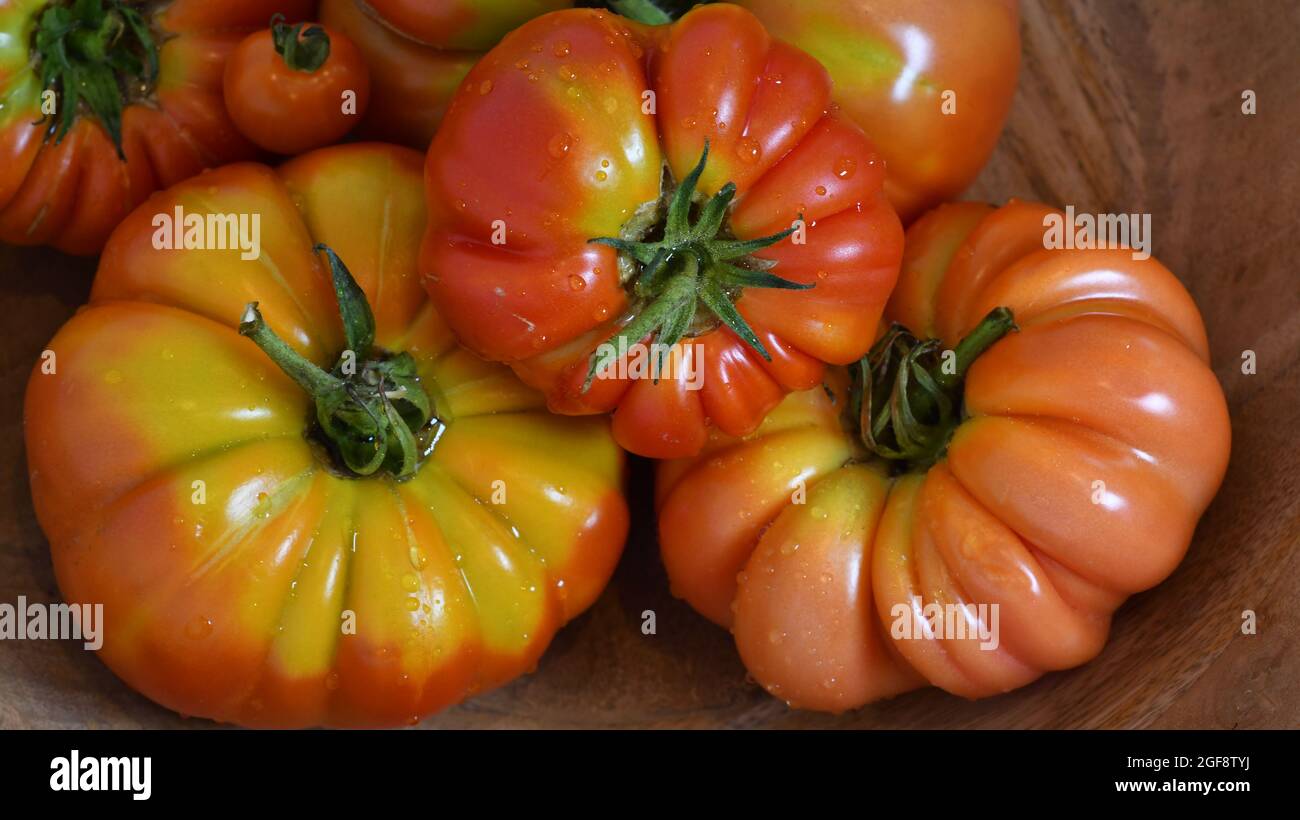 Eine Reihe von hausgemachten Beefsteak-Tomaten Stockfoto