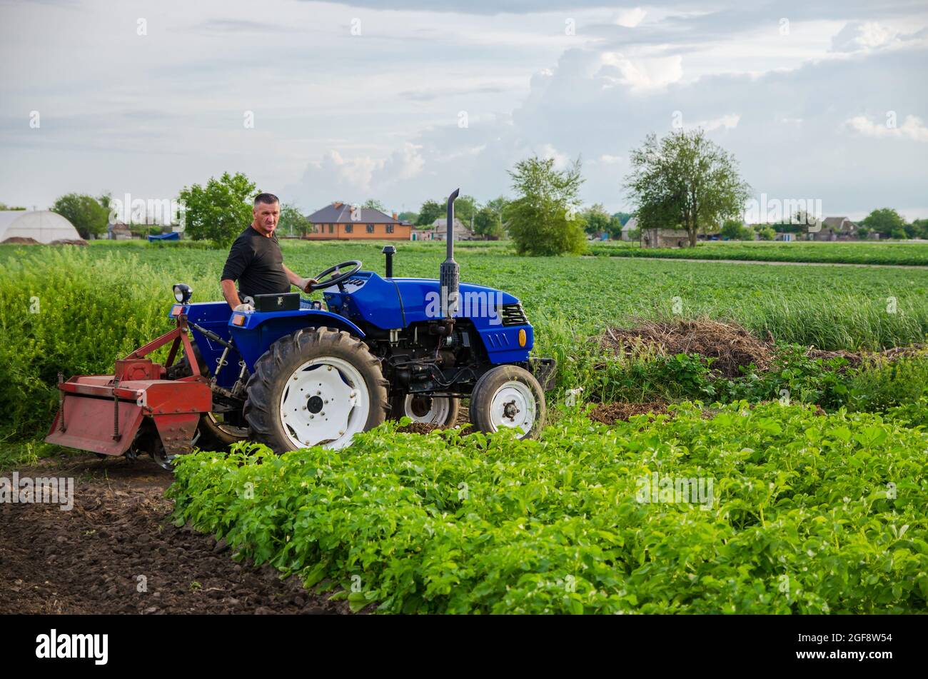 Ein Landwirt auf einem Traktor arbeitet auf dem Feld. Saisonarbeiter. Rekrutierung und Einstellung von Mitarbeitern für die Arbeit auf dem Bauernhof. Fräsen von Erde. Agroindustrie und Agroin Stockfoto