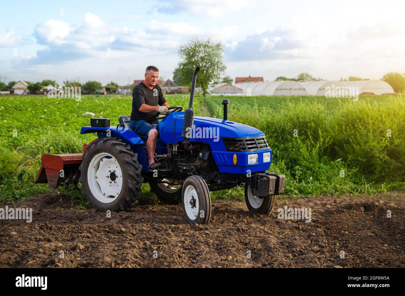 Bauer auf einem Traktor arbeitet auf dem Feld. Landanbau. Saisonarbeiter. Rekrutierung und Einstellung von Mitarbeitern für die Arbeit auf dem Bauernhof. Landwirtschaft, Landwirtschaft. Stockfoto