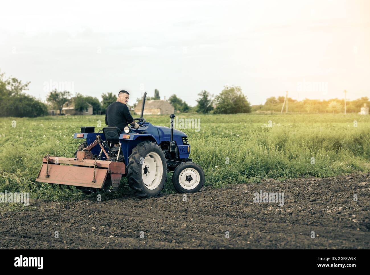 Ein Landwirt fährt einen Traktor über das Feld. Mühle Schleifmaschine für Boden. Landanbau. Einstellung und Einstellung von Saisonarbeitern für die Arbeit. Bauernhof Stockfoto