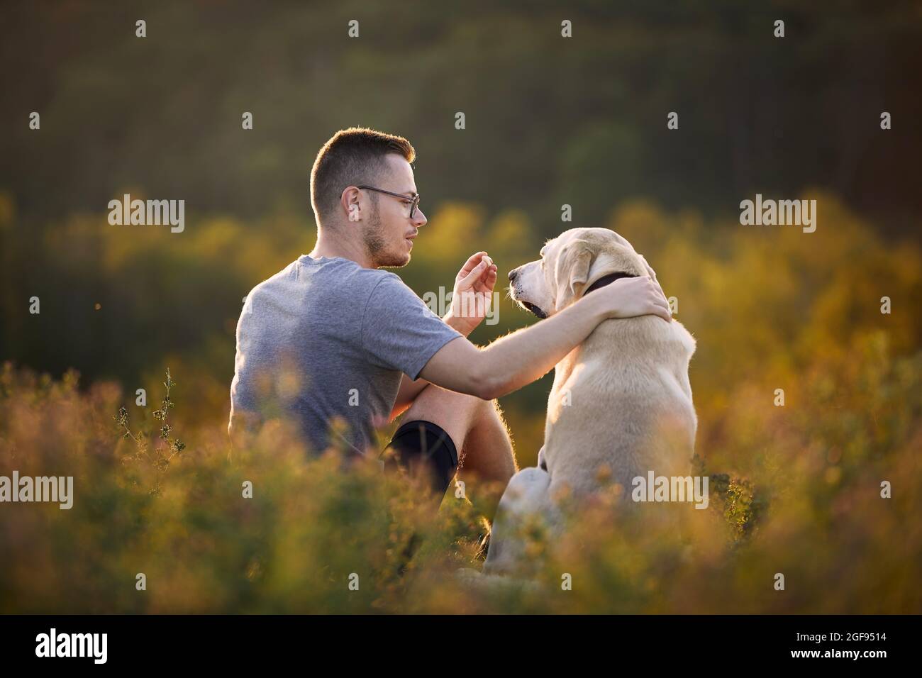Mann mit Hund sitzt zusammen auf der Wiese. Tierbesitzer hält Verwöhnzeit für seinen gehorsamen labrador Retriever. Stockfoto