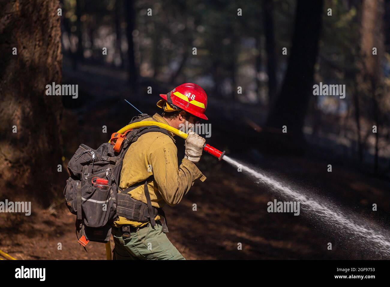 Am 23. August 2021 wurde Caldor ?Fire von Kalifornien zum Wildfeuer der Nation mit höchster Priorität. ?das Feuer hat sich über 114,000 Acres entzündet?, zerstörte schätzungsweise 550 Strukturen und bewegt sich schnell in Richtung Lake Tahoe. (Foto von Michael Nigro/Sipa USA) Stockfoto