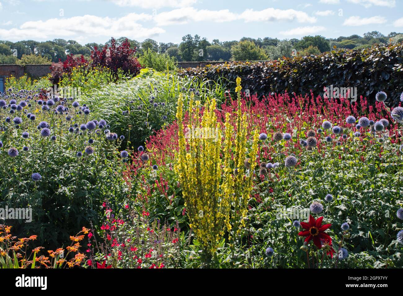 The Hot Border at Helmsley Walled Garden Stockfoto