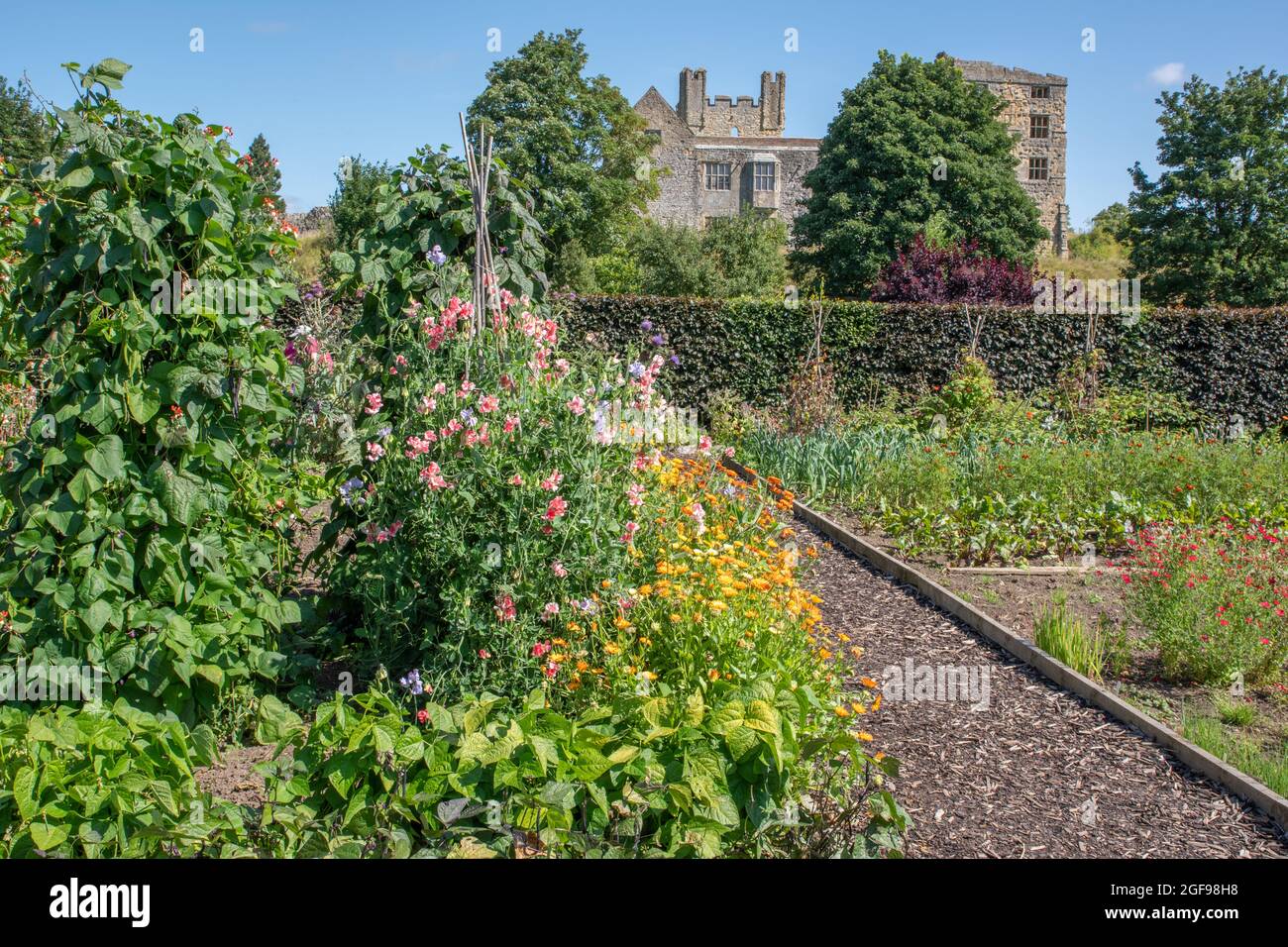 Helmsley Walled Garden Gemüsegarten Stockfoto