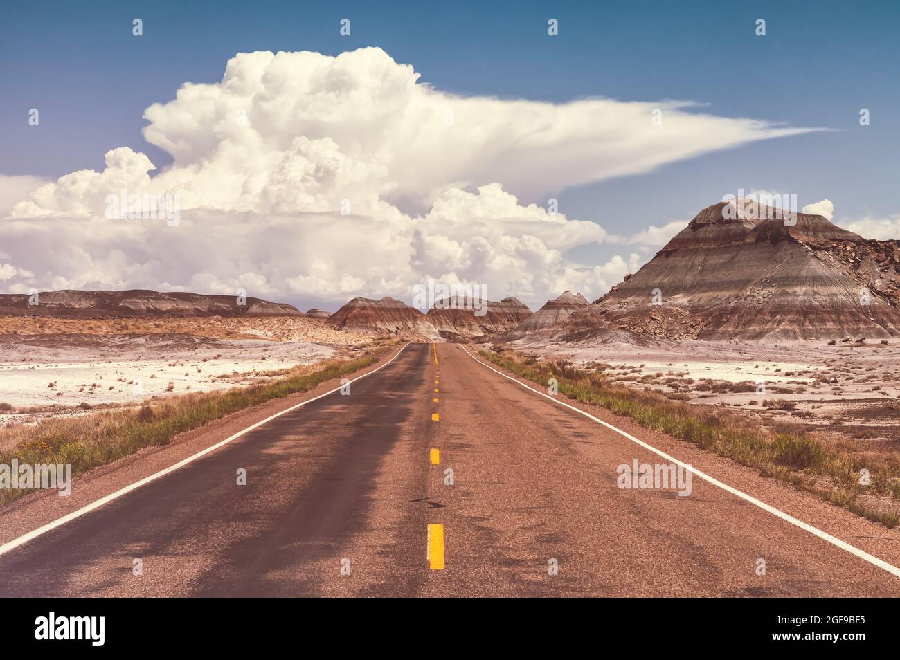 Panoramastraße im Petrified Forest National Park, mit Blick auf die Cumulonimbus-Wolken im Hintergrund, Arizona, USA. Stockfoto