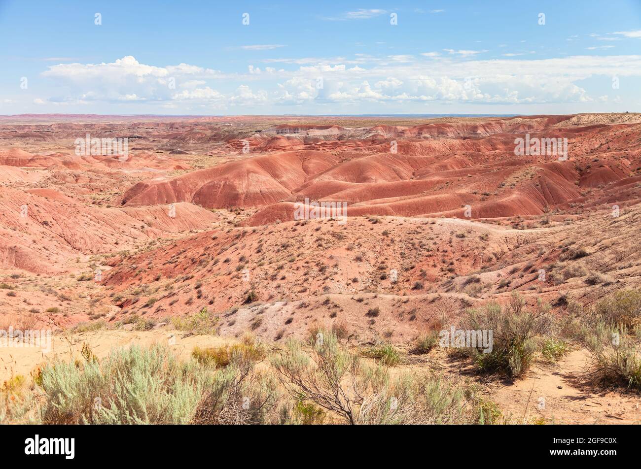 Ein Blick auf Painted Desert im Petrified Forest National Park, Arizona, USA. Stockfoto