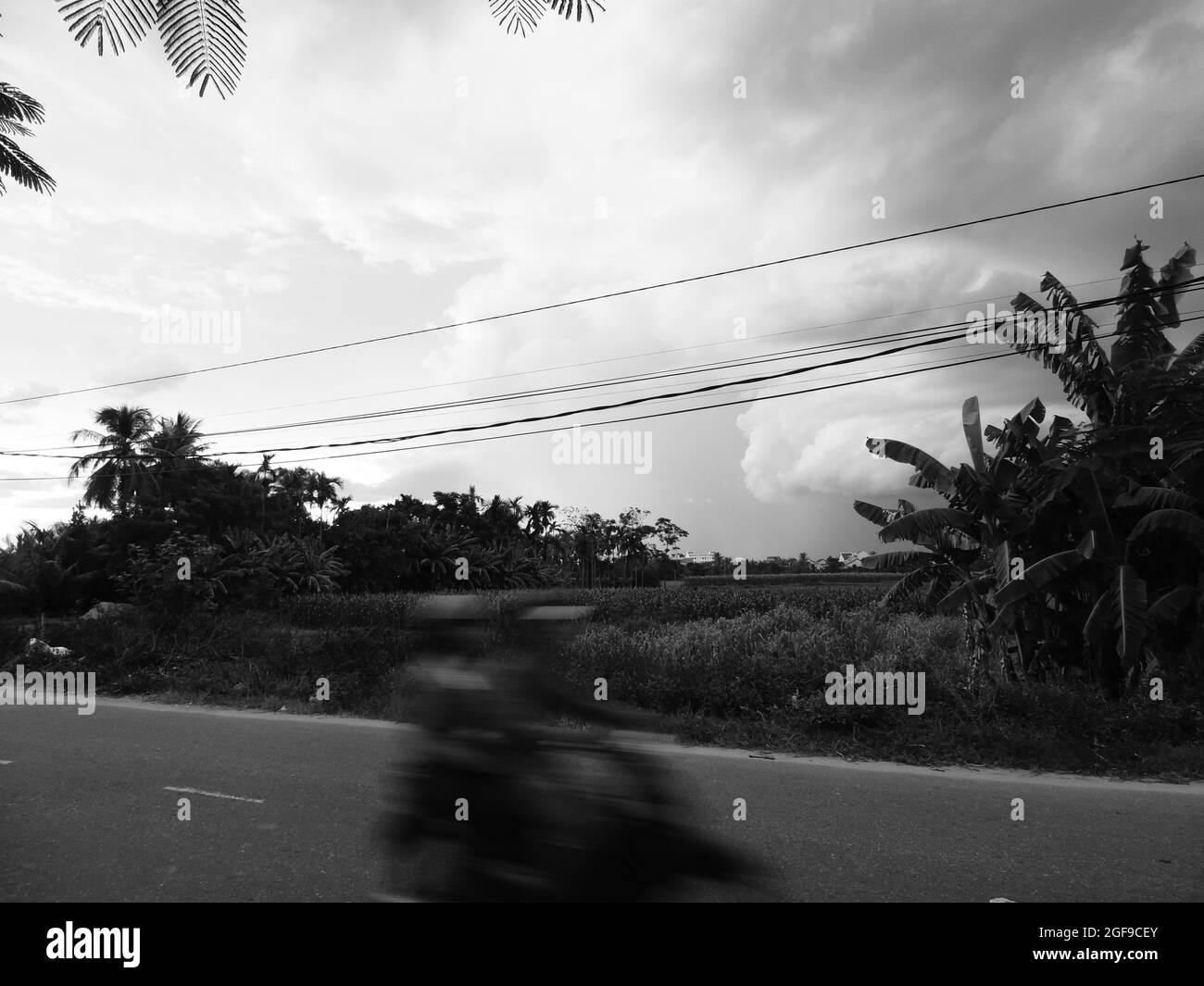 Motorräder in vietnam mit Palmen und Wolken Stockfoto