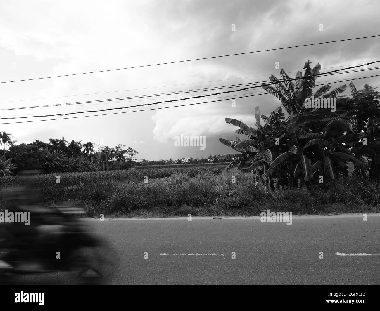 Motorräder in vietnam mit Palmen und Wolken Stockfoto
