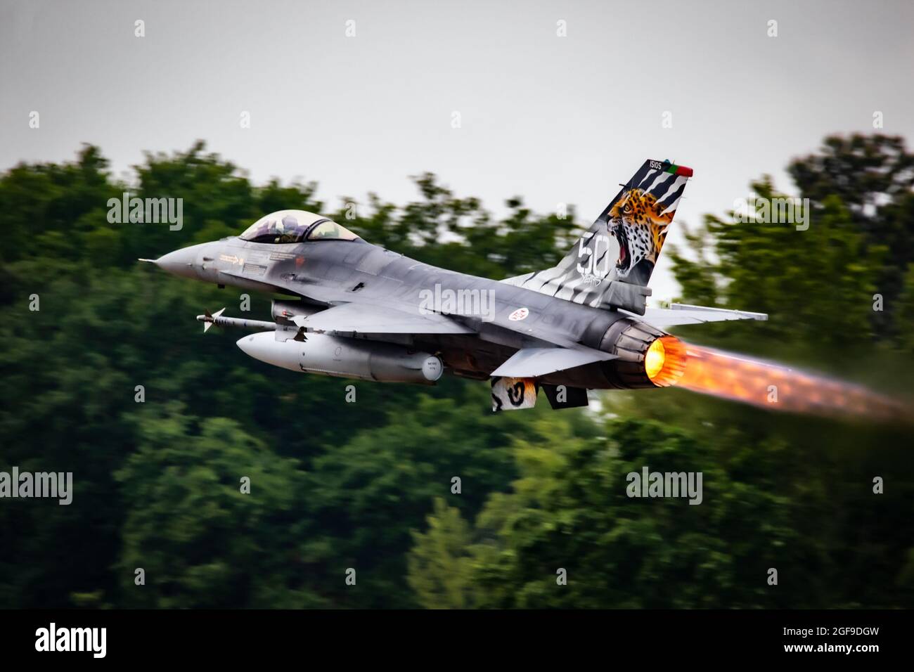 Der F-16-Kampfjet der portugiesischen Luftstreitkräfte nimmt während des NATO-Tigermeet mit Nachbrenner vom Luftwaffenstützpunkt Mont-de-Marshan ab. Mont-De-Marshan, Frankreich - Mai Stockfoto