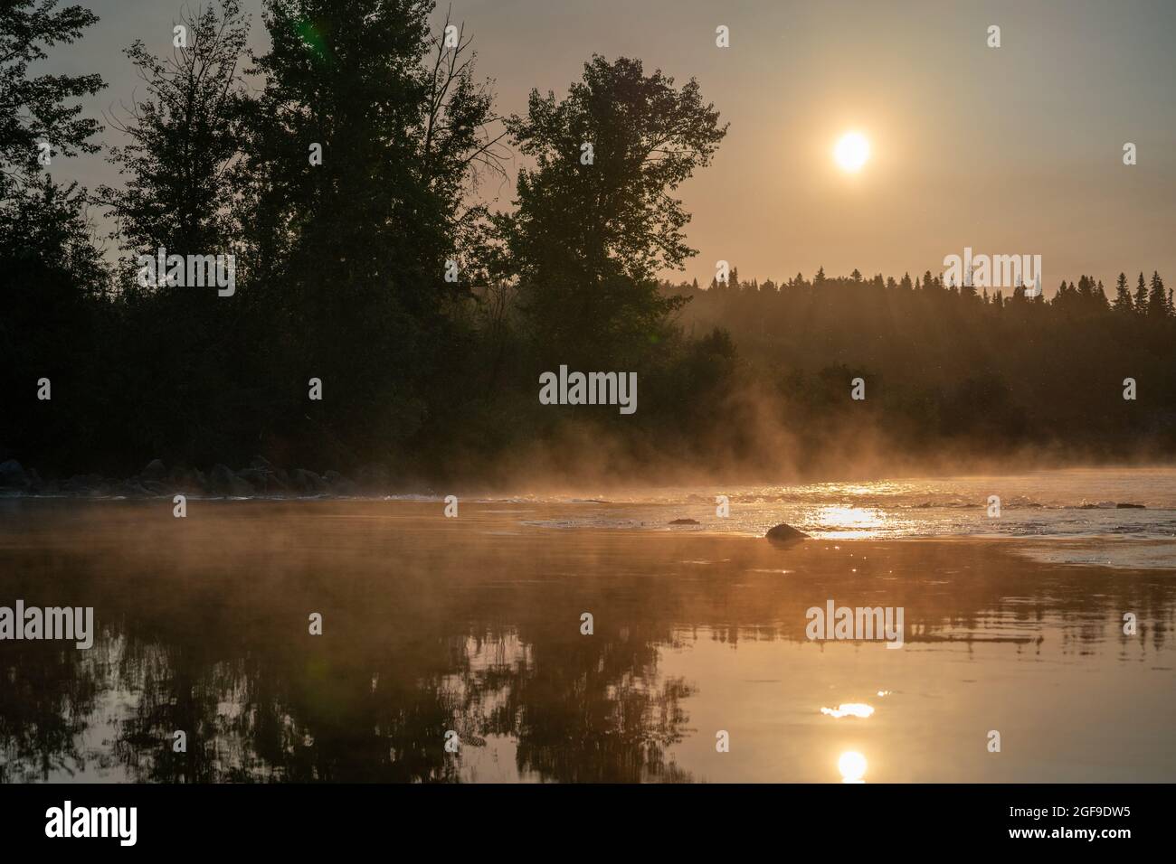 Am frühen Morgen im Nautley River, in British Columbia. Stockfoto