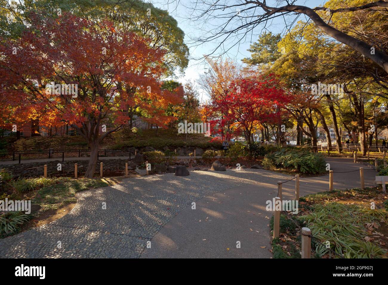 Ein Spaziergang durch den Yokohama Park Stockfoto