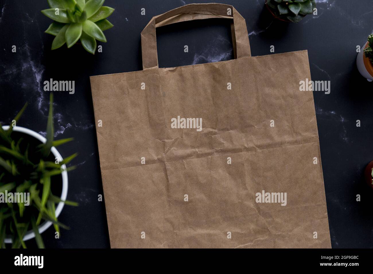 Draufsicht auf einen Papierkraftsack mit Pflanzen auf schwarzem Hintergrund Stockfoto