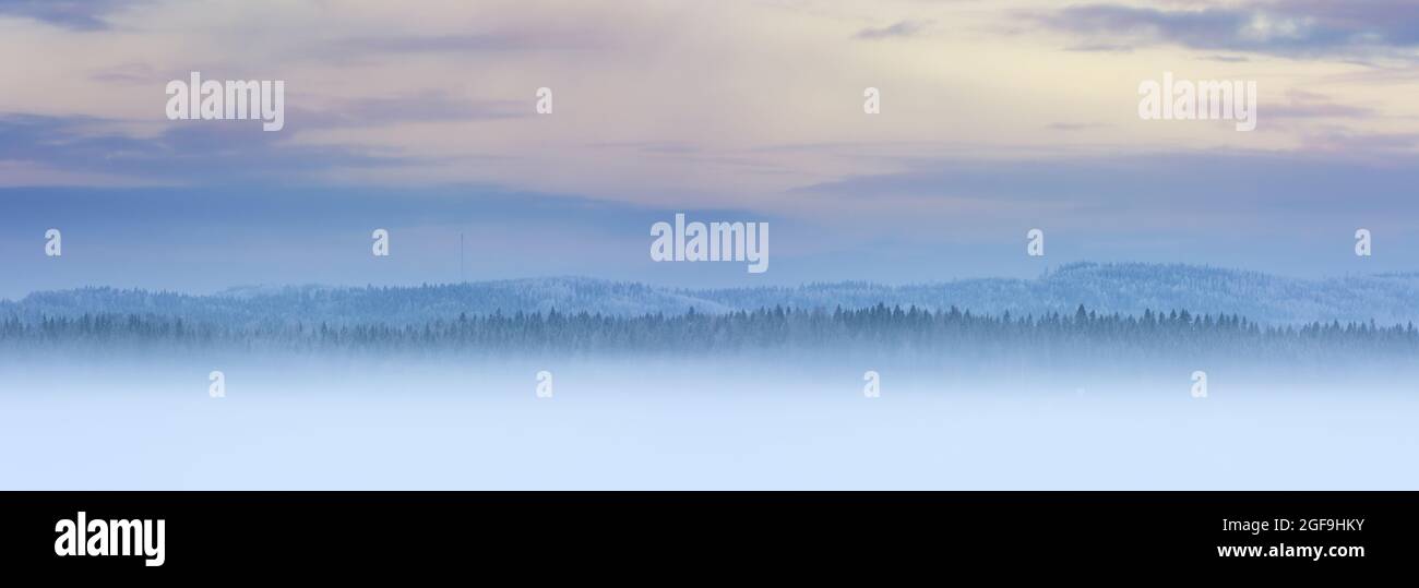 Neblige Winterpanorama-Landschaft mit frostbedeckten Waldbäumen Stockfoto