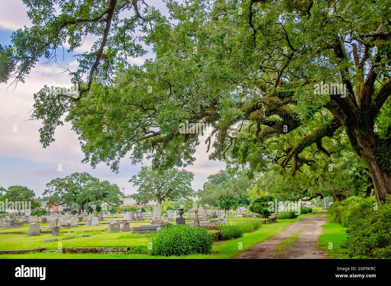 Der Magnolia Cemetery zeigt kunstvolle Gräber, die von jahrhundertealten, lebenden Eichen des Südens umgeben sind, 14. August 2021 in Mobile, Alabama. Stockfoto